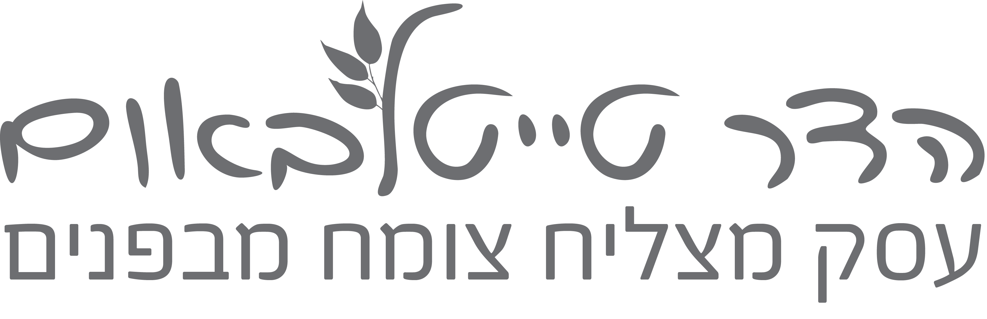 הדר טייטלבאום
